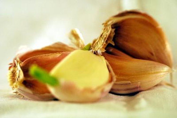 El ajo es uno de los remedios caseros más eficaces contra la presión arterial alta.