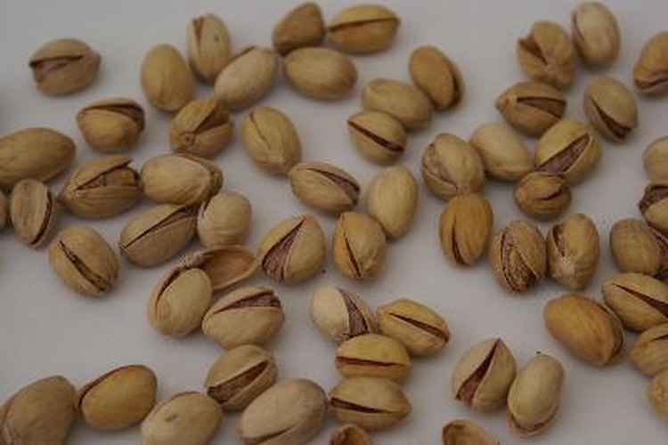 Los frutos secos se conservan bien y son una buena fuente de proteínas.