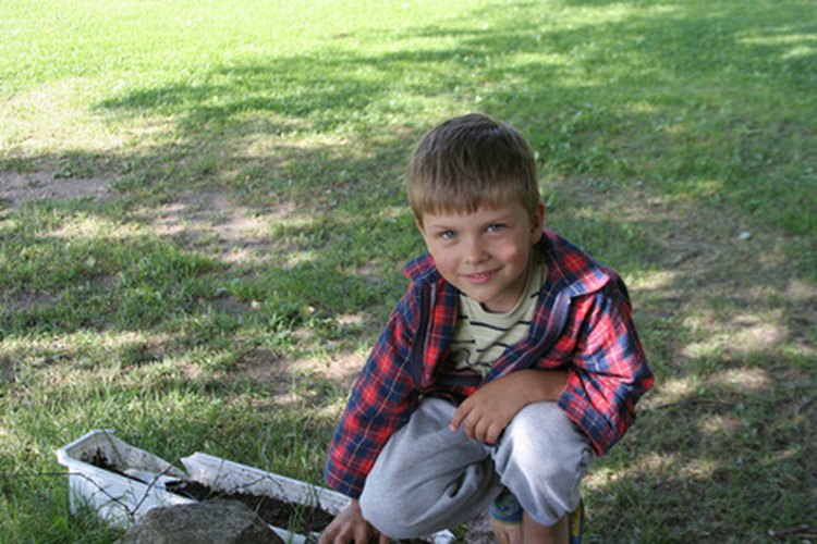 Los niños son las víctimas más comunes de las verrugas planas.