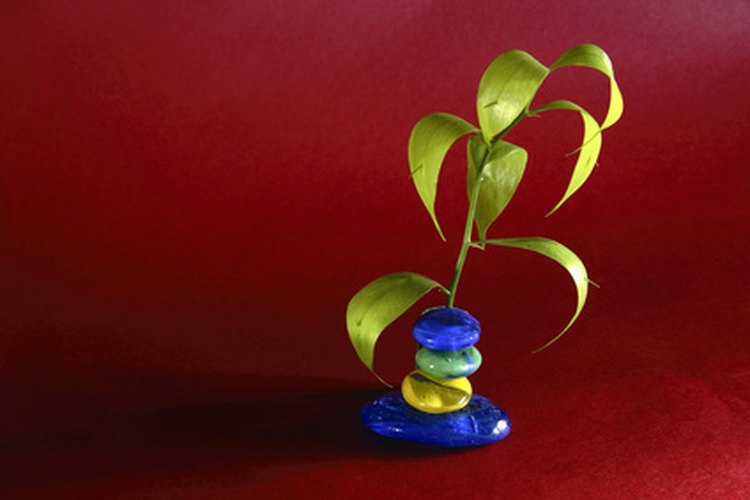 La planta de tulsi es venerada en la religión hindú por sus varios usos medicinales.