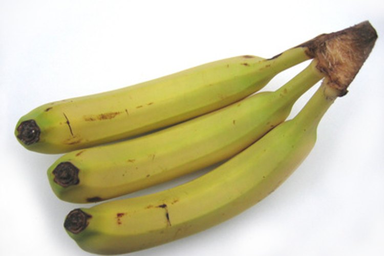 Las bananas son una buena fuente de potasio.