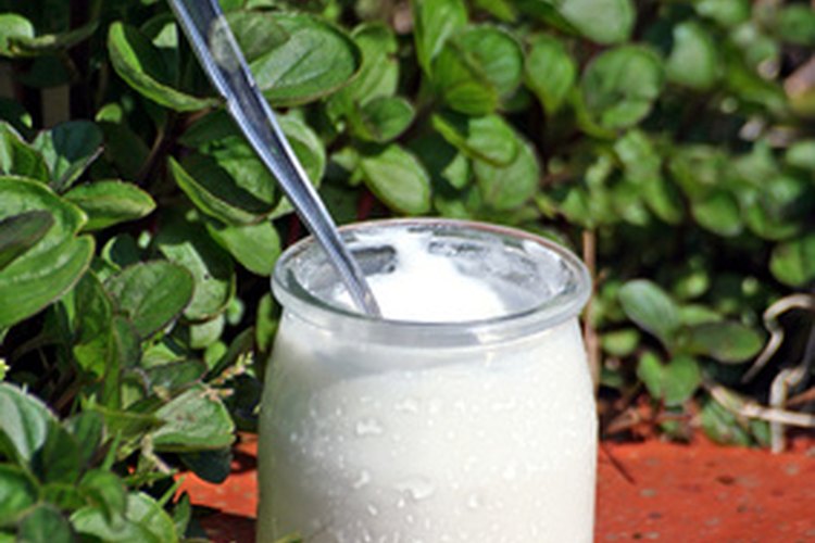El yogur común entero tiene ácido láctico que puede detener los brotes de acné.