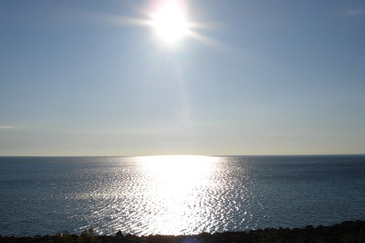 La vitamina D3, soluble en grasa, sintetizada mediante el sol y disponible en suplementos ayuda para la absorción de calcio.