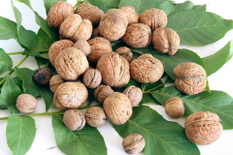 Comer nueces puede ayudarte a aumentar de peso.