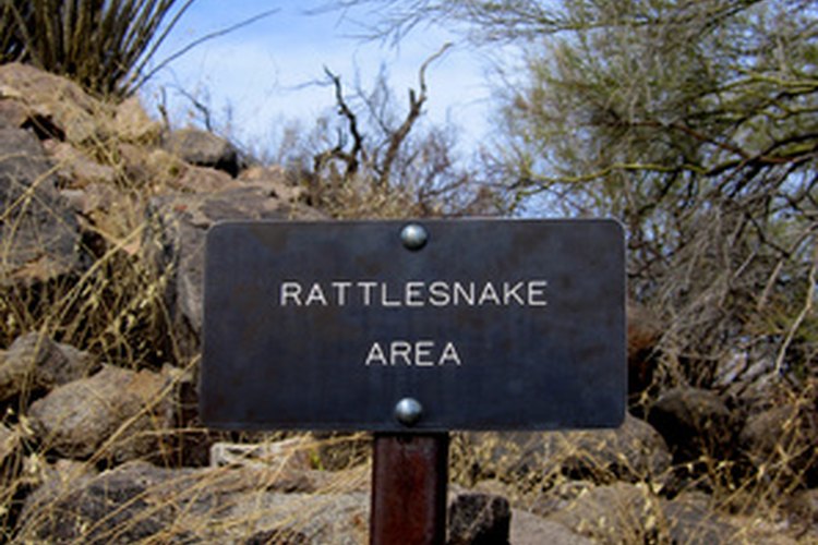 El hábitat de la serpiente de cascabel.
