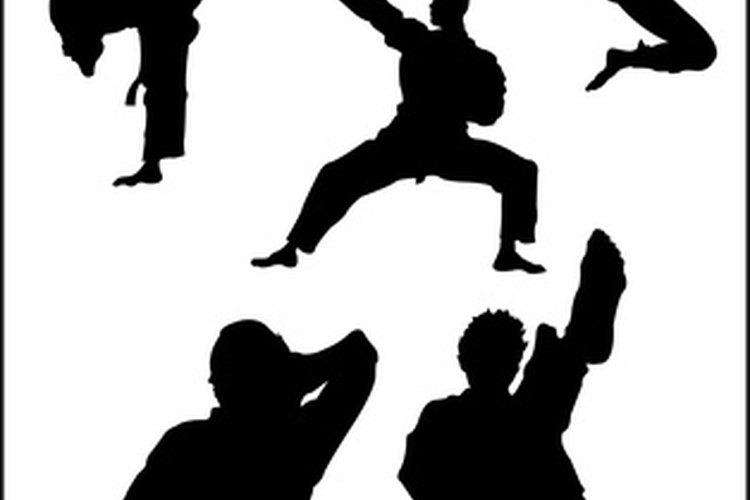 Un gran número de estilos de artes marciales son practicadas a lo largo del mundo.