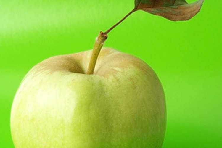 Los carbohidratos simples dan energía al cuerpo.