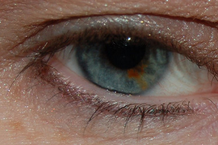 Información para los niños sobre el ojo humano.