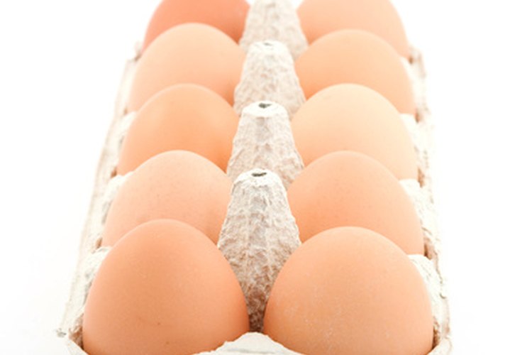 Preparar una alternativa más sabrosa que los batidos de huevo crudo para obtener la proteína que necesitan tus músculos para su desarrollo.