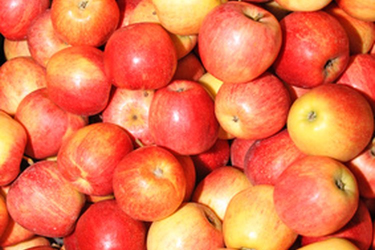 Agrega frutas y vegetales a tu plan de nutrición de bajos recursos.