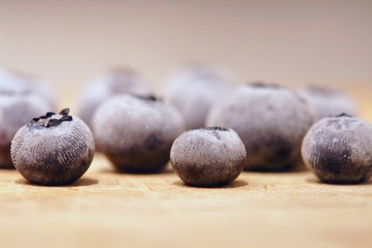 Los arándanos deben ser incluidos en una dieta anti-inflamatoria.