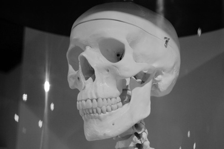 Los desórdenes de la ATM son la causa más común de dolor mandibular.
