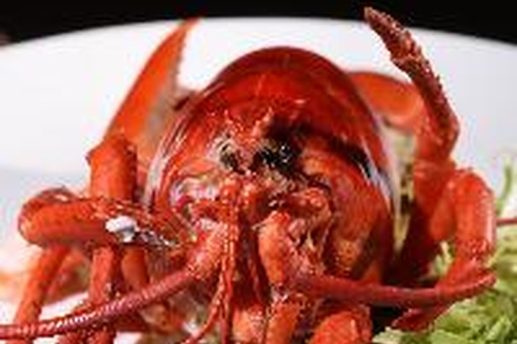 Los mariscos son un alimento común que puede provocar anafilaxis.