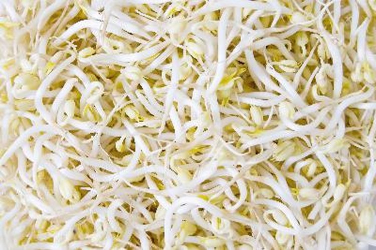 Algunos vegetales son especialmente buenos para la salud de la próstata.