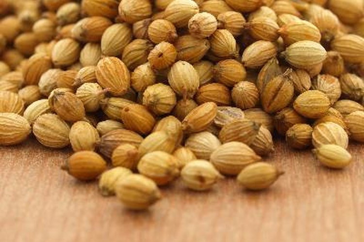 Las semillas de cilantro podrían ofrecer una variedad de beneficios para la salud.