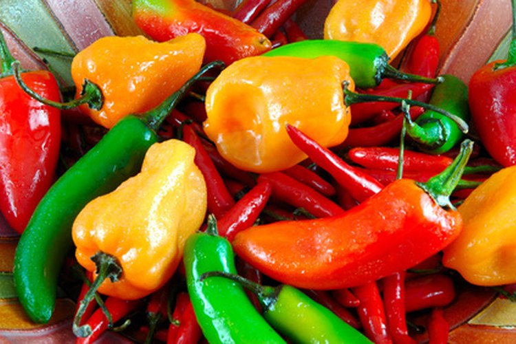 Los beneficios para la salud de los pimientos habaneros.