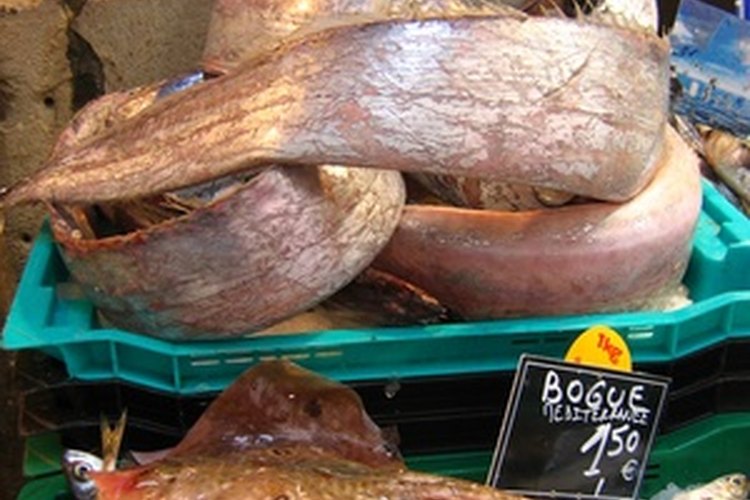 El pescado es una rica fuente de proteínas saludables.