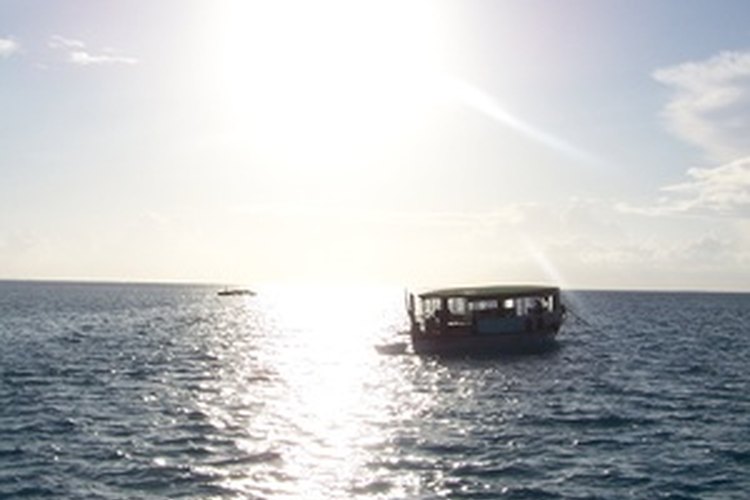 El sol aumenta la cantidad de agua requerida para sobrevivir.