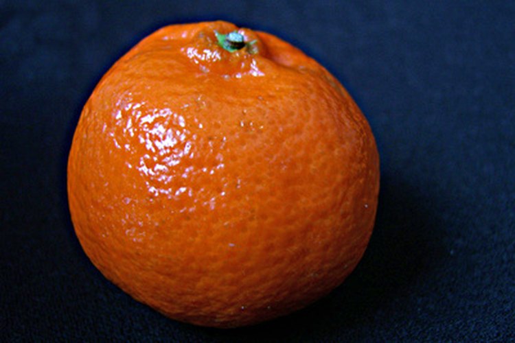 Vitamina B-12.