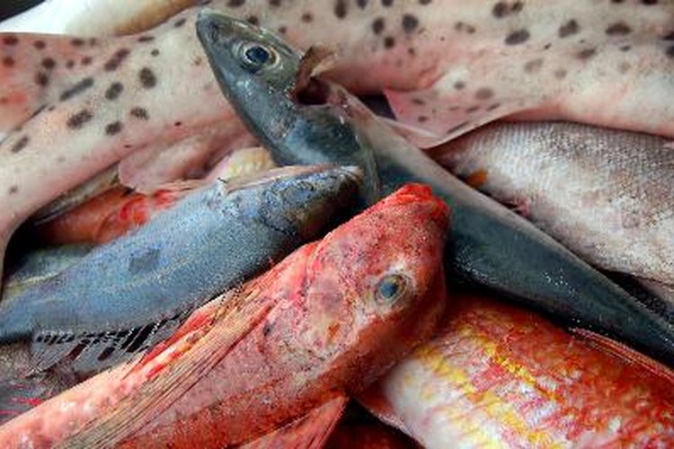 Una dieta alta en pescado contiene bastante omega 3, el cual ayuda a disminuir los niveles de triglicéridos en la sangre y evitar que se obstruyan las arterias.