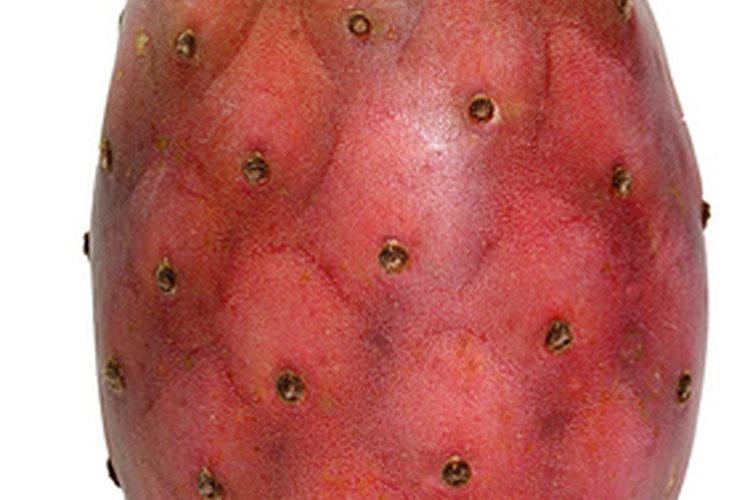 Las tunas son una fruta deliciosa que tiene espinas, las que hay que eliminar antes de poder consumirlas.