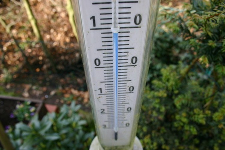 Según el Servicio Nacional de Clima, si la temperatura del aire afuera es de 96°F y la humedad tiene el 65 por ciento, entonces el índice de calor (como realmente se siente) será de 121ºF (50º C).
