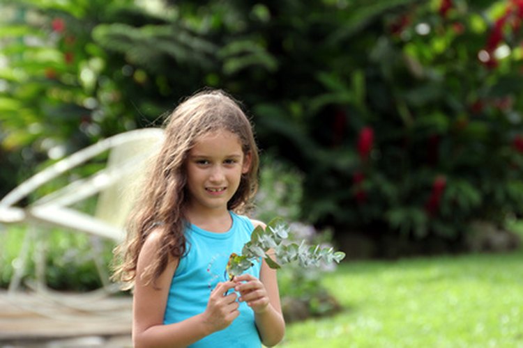 Los cambios de la pubertad se comienzan a ver y sentir a los 9 o 10 años de edad.