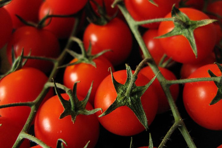 Los tomates cherry contienen muchos antioxidantes.