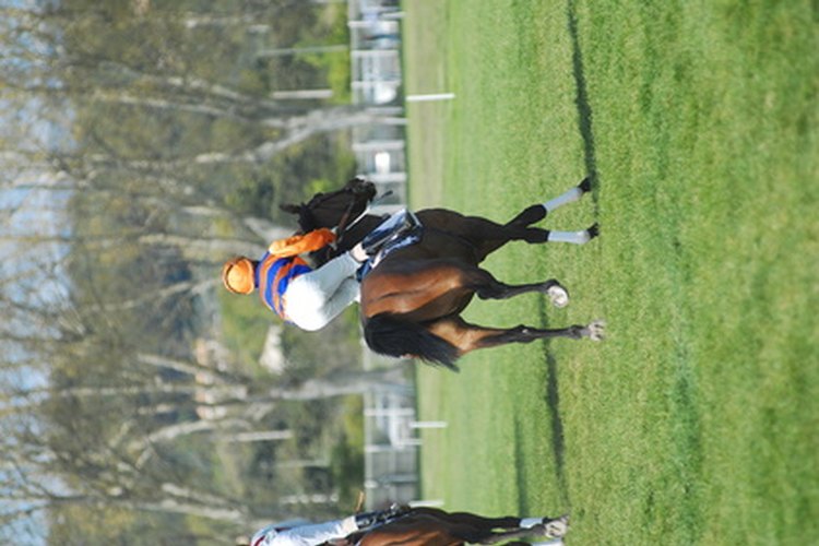 Afortunadamente, si quieres entrenar para convertirte en un jinete de carreras de caballos, eso es mucho más común que las carreras de obstáculos.