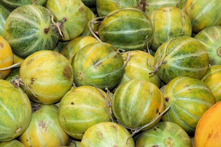 La fruta amalaki puede ayudar a controlar el azúcar en sangre.