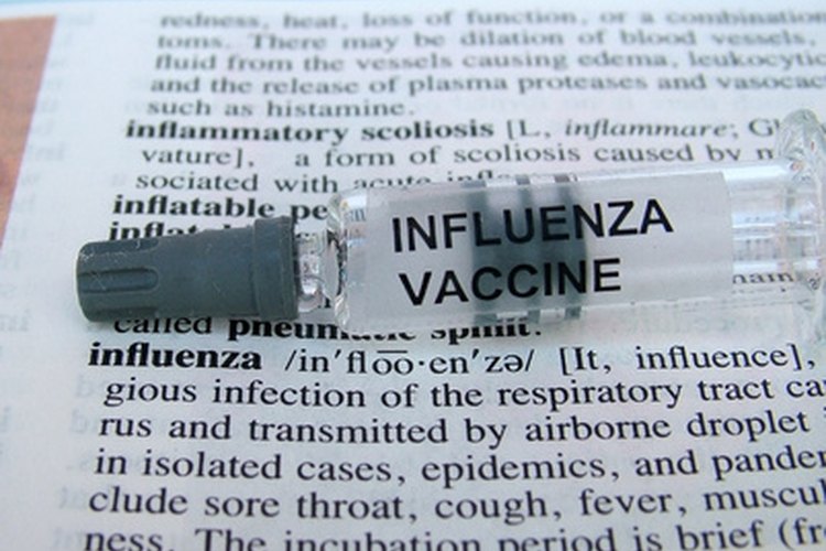 ¿Qué es la influenza B?