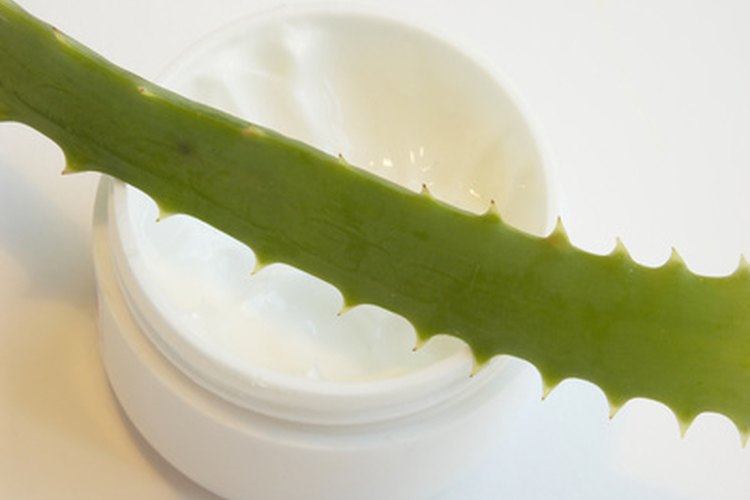 La Fruit of the Earth Vitamin E Skin Care Cream contiene aloe vera.