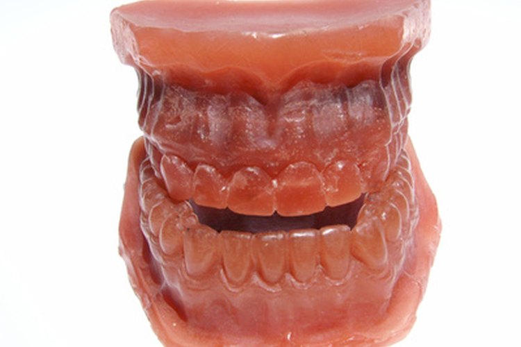 Dentadura.