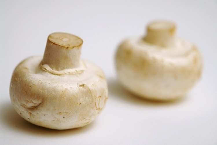 Los champiñones ofrecen buenas fuentes de ciertas vitaminas y minerales.