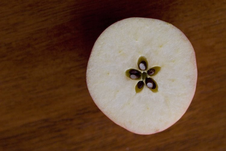 El aceite de semilla de manzana demostró tener algunas propiedades curativas.
