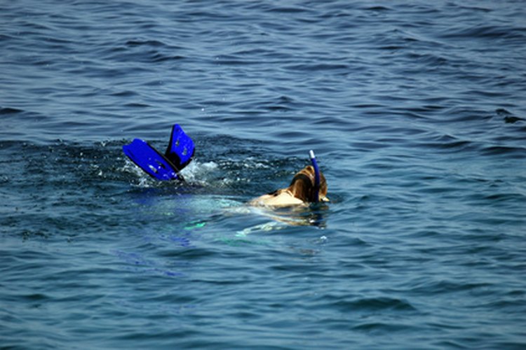 Los ejercicios de respiración de la marina mejoran el rendimiento del buceo libre.