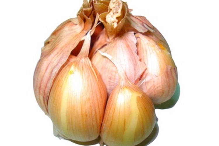 Puedes usar remedios caseros para conseguir alivio adicional.