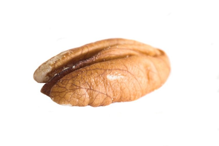 Las nueces negras generalmente caen de los árboles en setiembre y octubre.