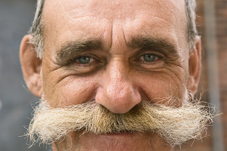 Usa champú y acondicionador regulares para tener un bigote suave.