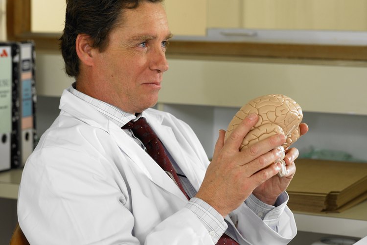 Los neurocirujanos y los neurólogos son dos tipos de médicos que tratan pacientes con problemas en el sistema nervioso central.