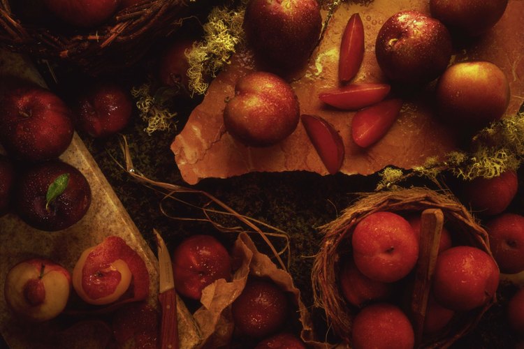 Los pluots heredan la mayoría de sus genes de la ciruela.