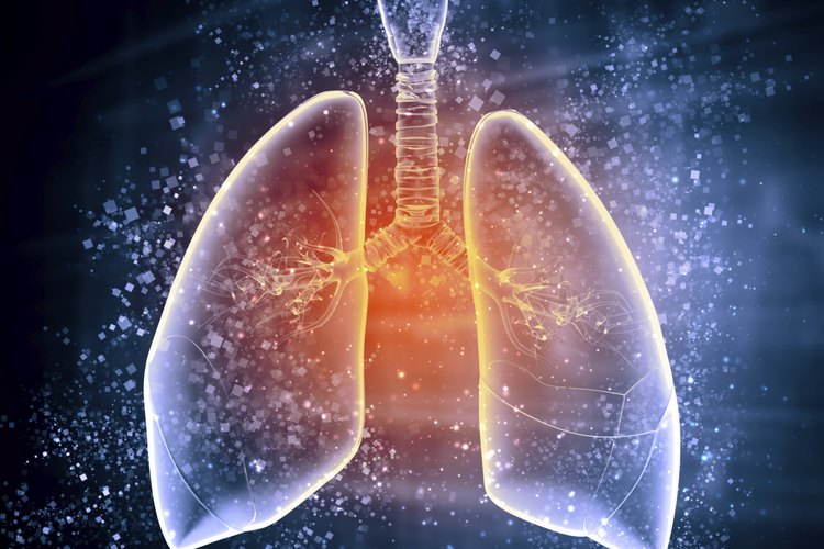 Limpiar tus pulmones es vital para tu salud.