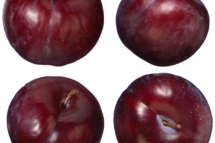 El concentrado de ciruela Ume japonesa muestra evidencia de sus efectos protectores en el cuerpo.