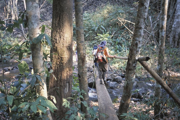 Una caminata ligera significa llevar sólo lo esencial, lo que te permite caminar más lejos con mayor comodidad.