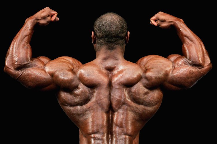Los músculos dorsales desarrollados crean el cuerpo en forma de V que todo fisicoculturista busca.