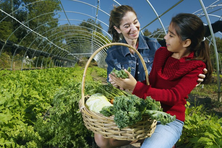 Una madre y su hija recolectan verduras de una huerta