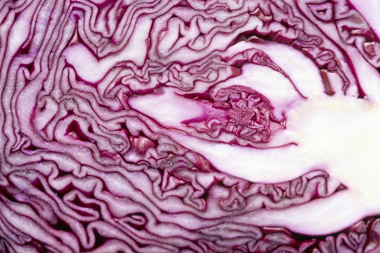 Toda las coles son buenas para ti, pero la col roja puede tener un valor nutricional extra.