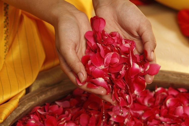 El agua de rosas es un antiséptico que contribuye con el cuidado y el mantenimiento de la piel.
