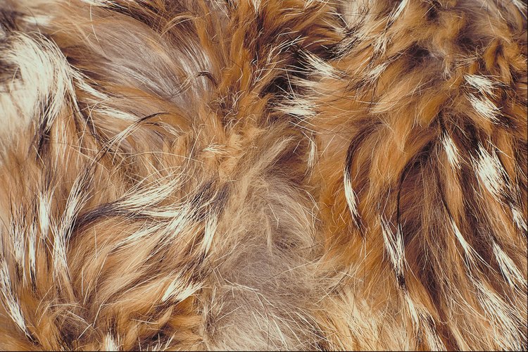 Las infecciones fúngicas de la piel producen picazón y manchas peladas