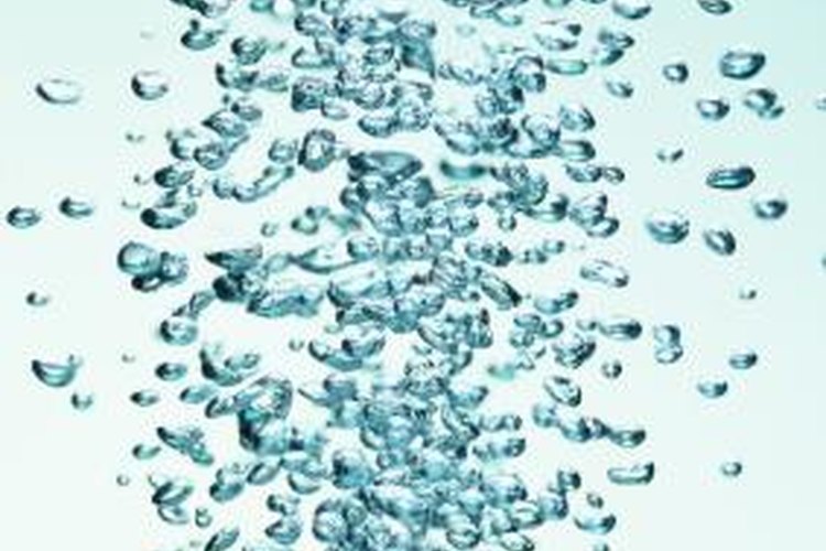 How to Use the Bubbler Filter | Pets on Mom.com
